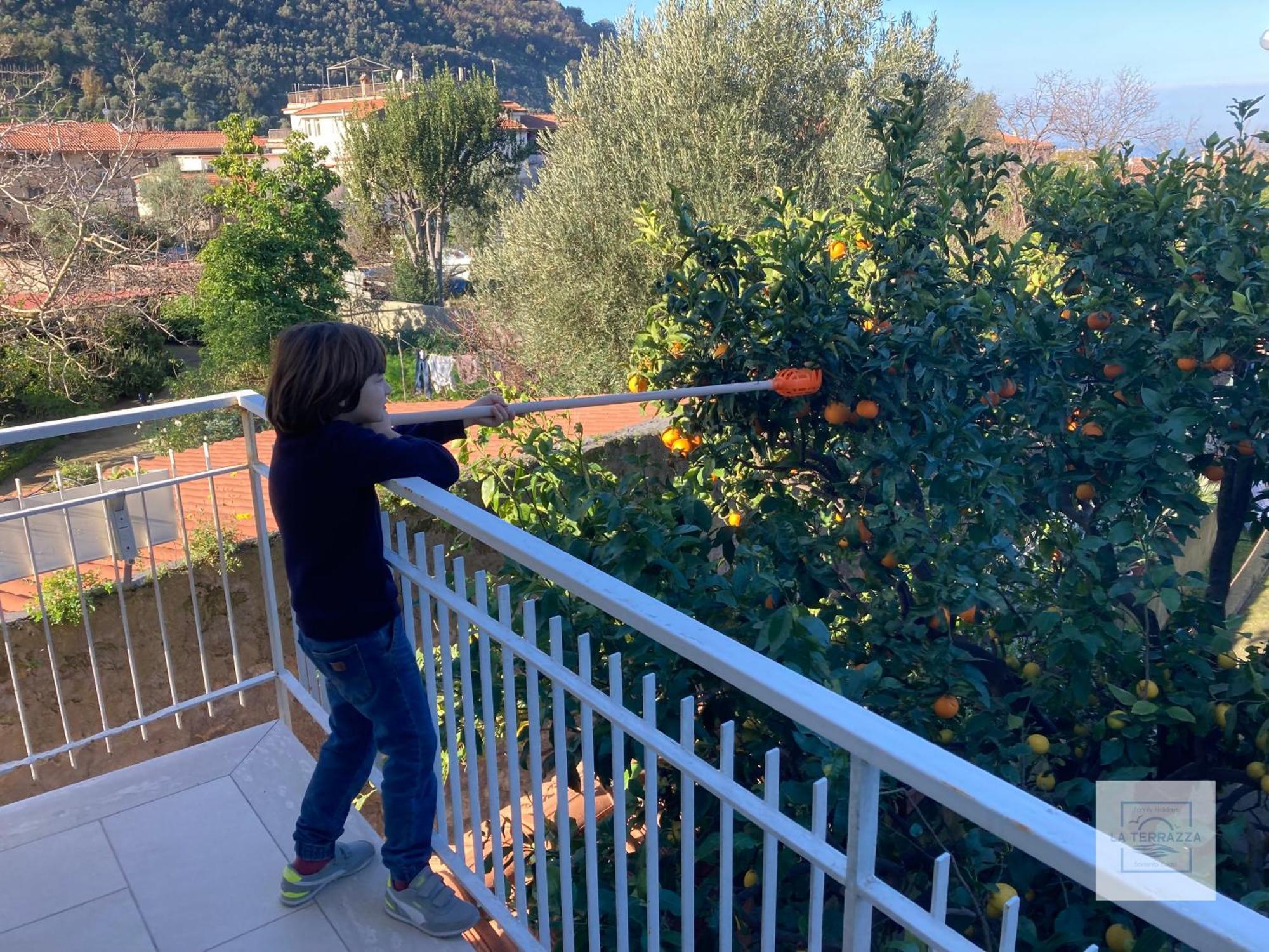 La Terrazza Family Holidays Sant'Agnello Exterior foto